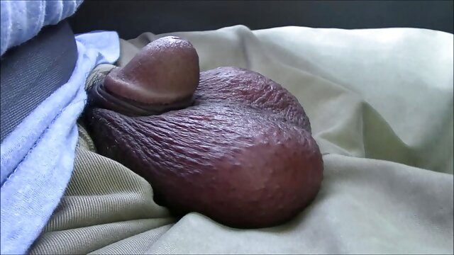 HD :  Små brunette kjæresten din med briller tar en stor pecker Videoklipp 